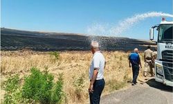 Siirt'te buğday tarlalarında yangın: Yüzlerce dönüm alan kül oldu