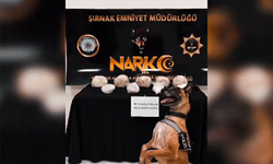 Şırnak'ta 9 kilo 700 gram metamfetamin ele geçirildi