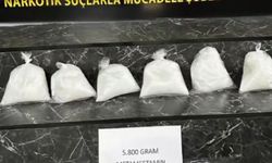 Şırnak'ta tırda 5,8 kilo metamfetamin ele geçirildi