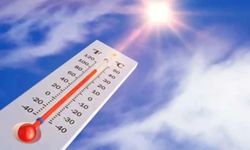 Türkiye'de son 75 yılın en şiddetli sıcak hava dalgaları kaydedildi