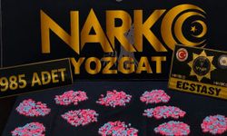 Yozgat'ta 985 sentetik ecza hap ele geçirildi