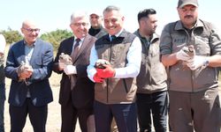 Yozgat'ta bu yıl 10 bin kınalı keklik doğaya salındı