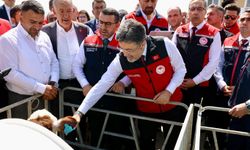 17 milyon büyükbaş hayvan için dijital küpe sistemi başlatıldı 