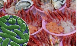 ABD'de et yiyen bakteri alarmı: 5 kişi hayatını kaybetti