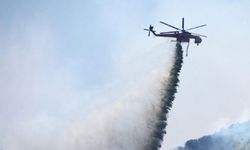 ABD'de orman yangınında görev yapan helikopter düştü