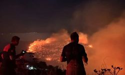 Antalya'da orman yangını: Soğutma çalışmaları sürüyor