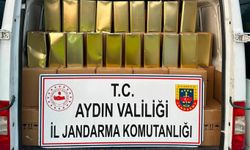 Aydın'da 4 bin 780 litre sahte zeytinyağı ele geçirildi: 2 gözaltı