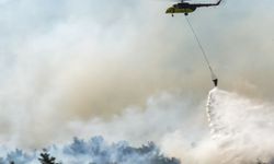 Aydın'da orman yangınına havadan ve karadan müdahale