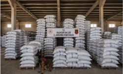 Balıkesir'de 6 ton kaçak çay ele geçirildi