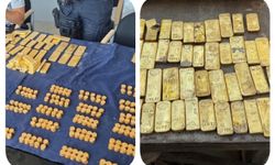Belçika'da 18 yaşındaki öğrenci 10,5 milyon dolarlık altın buldu
