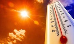 Belçika'da aşırı sıcaklar nedeniyle turuncu alarm verildi