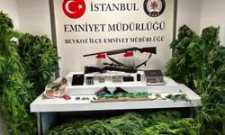 Beykoz'da uyuşturucu operasyonunda Hint keneviri ve silah ele geçirildi