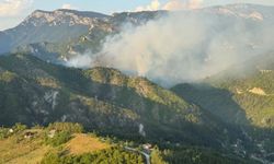 Bosna Hersek'te bir şehir, orman yangını nedeniyle doğal afet durumu ilan etti