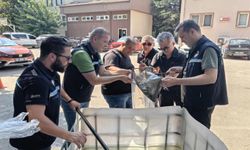 Bursa'da 13 milyon yavru balık su kaynaklarıyla buluşturuldu