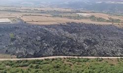 Bursa'da iki ilçedeki orman yangınları kontrol altına alındı