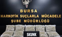 Bursa'da uyuşturucu operasyonu: 45 kilo esrar ele geçirildi