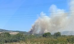 Çanakkale Lapseki'de yangın