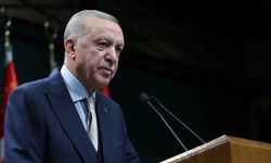 Cumhurbaşkanı Erdoğan, Litvanya Başbakanı Sinkevicius ile görüştü