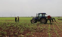 Destekleme ödemeleri çiftçilerin hesabına bugün yatacak