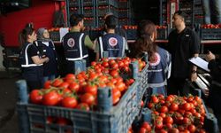 Diyarbakır'da 14 bin 783 ürün denetlendi: 2 milyon 324 bin 205 lira uygulandı