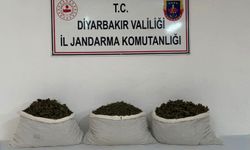 Diyarbakır'da 19 kilogram uyuşturucu ele geçirildi
