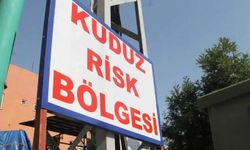 Diyarbakır'da 3 yaşındaki çocukta kuduz vakası tespit edildi