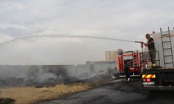 Diyarbakır'da anız yangını rüzgârın etkisiyle geniş alana yayıldı