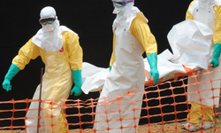 DSÖ: Ebola salgınında genel risk çok yüksek