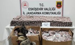 Eskişehir'de 84 bin sentetik hap ele geçirildi: 3 tutuklama
