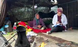 Evde sağlık hizmetlerinden 1,3 milyondan fazla hasta yararlanıyor