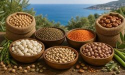 FAO'dan uyarı: Hürmüz gerilimi küresel gıda fiyatlarını vurabilir