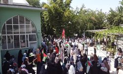 Filistin Konvoyu Çınar'da yoğun katılım ile karşılandı