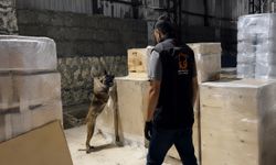 Gaziantep'te 400 bin captagon uyuşturucu hap ele geçirildi