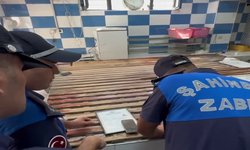 Gaziantep'te fırında hijyen ihlali
