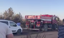 Gaziantep'te ormanlık alanda çıkan yangın büyümeden söndürüldü