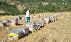 Ilgın'da arıcılık işletmeleri ve arı kolonileri kontrol ediliyor