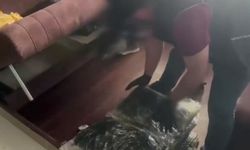 İstanbul Ataşehir'de 44 kilo skunk ele geçirildi