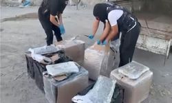 İstanbul Zeytinburnu'nda 83 kilogram skunk ele geçirildi