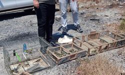 Kahramanmaraş'ta kaçak saka kuşu avlayan 4 kişiye 2,2 milyon lira ceza