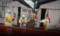 Kongo'da Ebola vaka sayısı 3 bin 748'e yükseldi