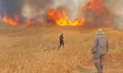 Malatya'da arazi örtü yangını