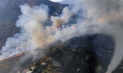 Muğla'da orman yangını