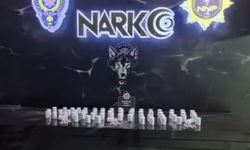Niğde'de 3 bin 32 sentetik ecza ele geçirildi