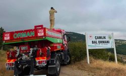 Ormanlık alanlar yangın riskine karşı gözetim altında
