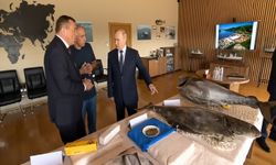 Putin, Kuril Adaları'nı ziyaret etti: Japonya'dan protesto