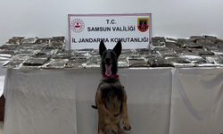 Samsun'da tırda 132 kilogram toz esrar ele geçirildi