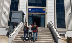 Şanlıurfa'da aranan hükümlü yakalandı