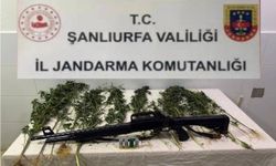Şanlıurfa'da uyuşturucu operasyonu