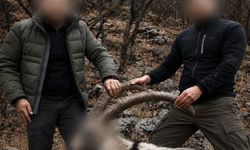 Siirt'te 6 yıl önce koruma altındaki yaban keçilerini avlayanlara ceza
