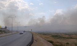 Siirt'te anız yangını: 100 dönümden fazla alan zarar gördü